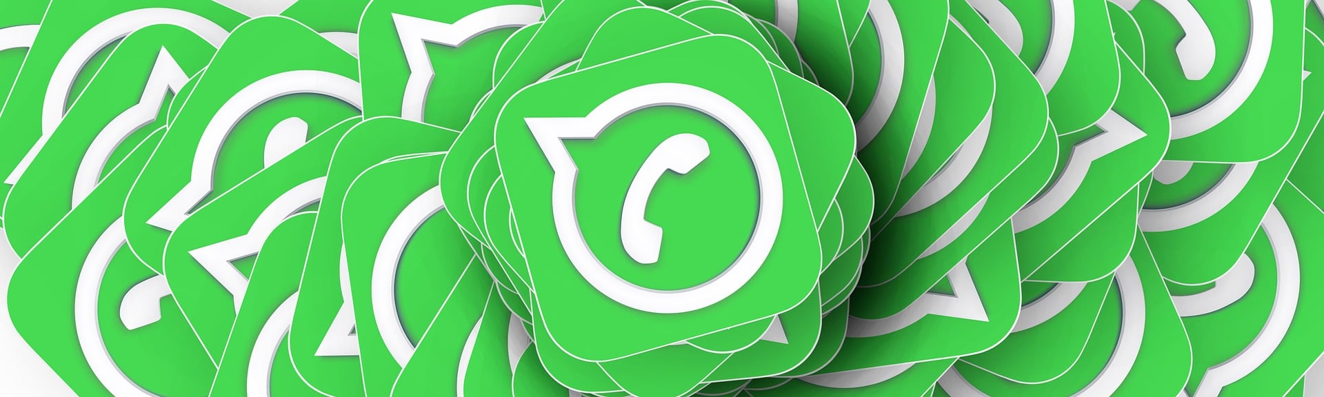 Blog Whatsapp Api Vs Business